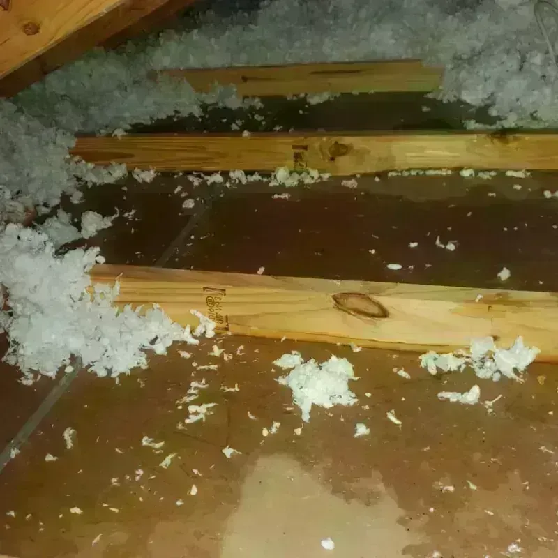 Attic Water Damage in Belle Plaine, WI